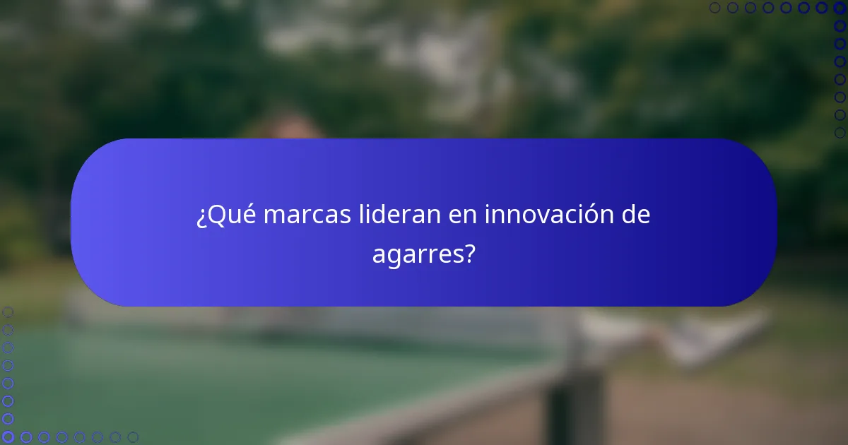 ¿Qué marcas lideran en innovación de agarres?
